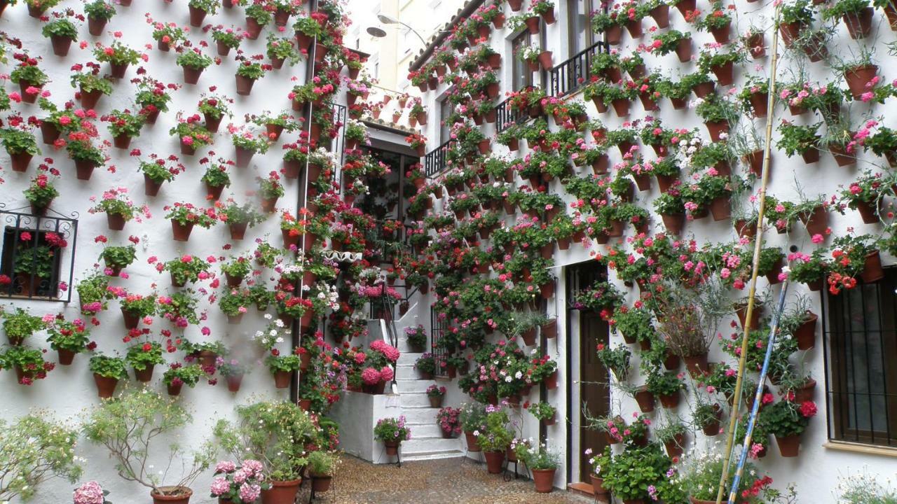 El Balcon De La Mezquita Daire Cordoba Dış mekan fotoğraf